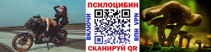Псилоцибиновые грибы Cubensis  Купить где  Псков 